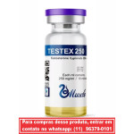 Testex 250mg c/ 10ml - Cipionato de Testosterona - Muscle Pharma